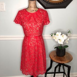 Adrianna Papell Lace Dress Size 4